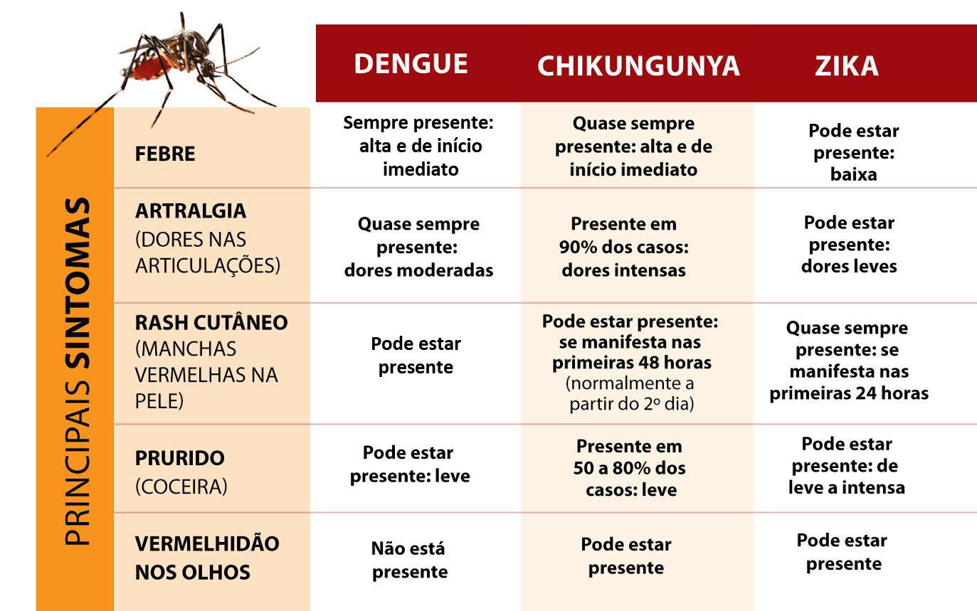 Confira os sintomas da Dengue, Chikungunya e Zika / Crédito: Agência Fiocruz de Notícias Confira os sintomas da Dengue, Chikungunya e Zika